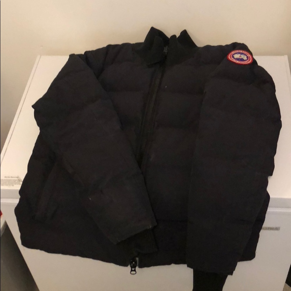 Canada goose